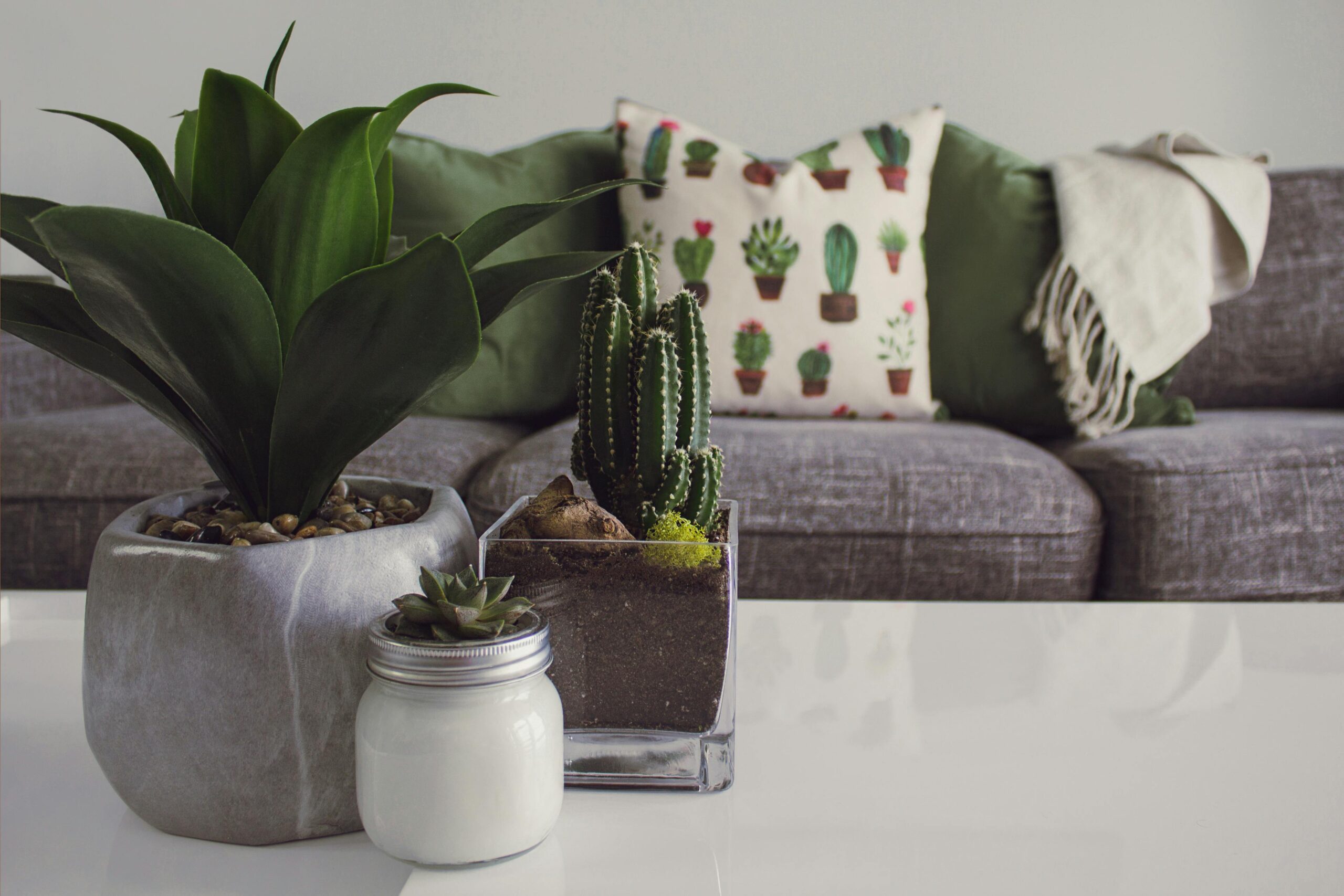 Image of couch and plants on table, as a backdrop to the words, "Employment Opportunities."