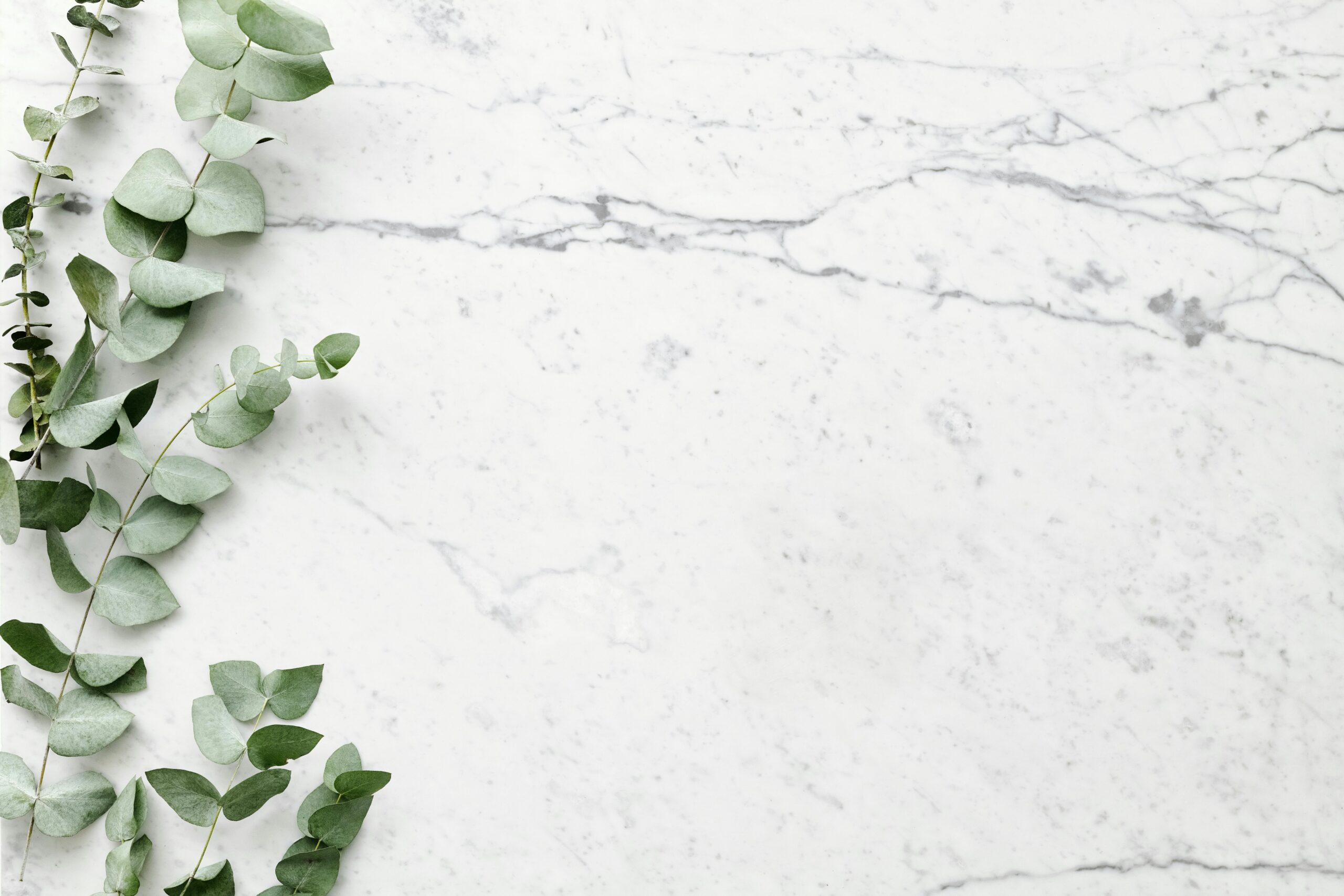 Image of marble background with plant as backdrop to quote.