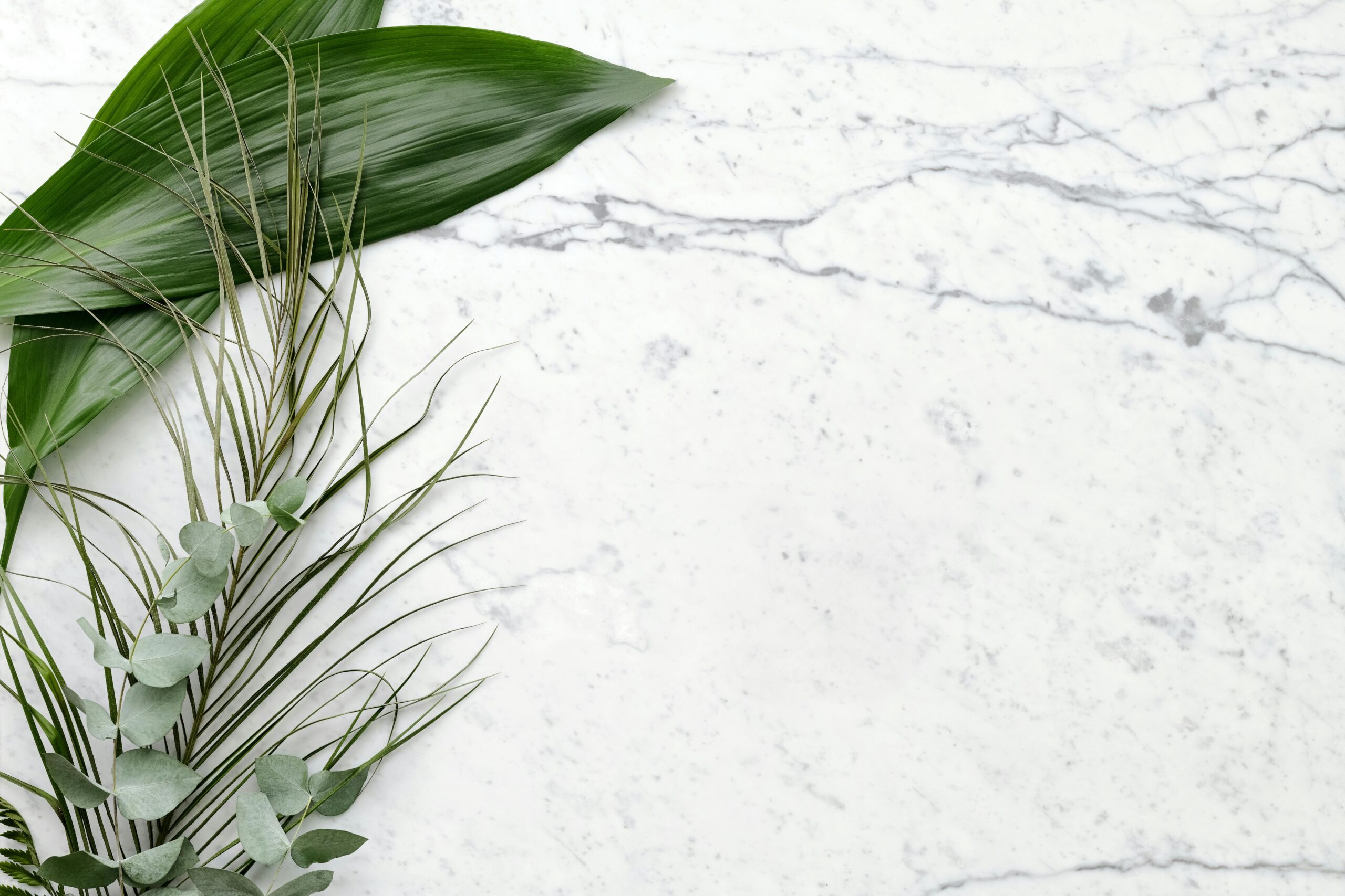Image of marble background with plant as backdrop to quote.