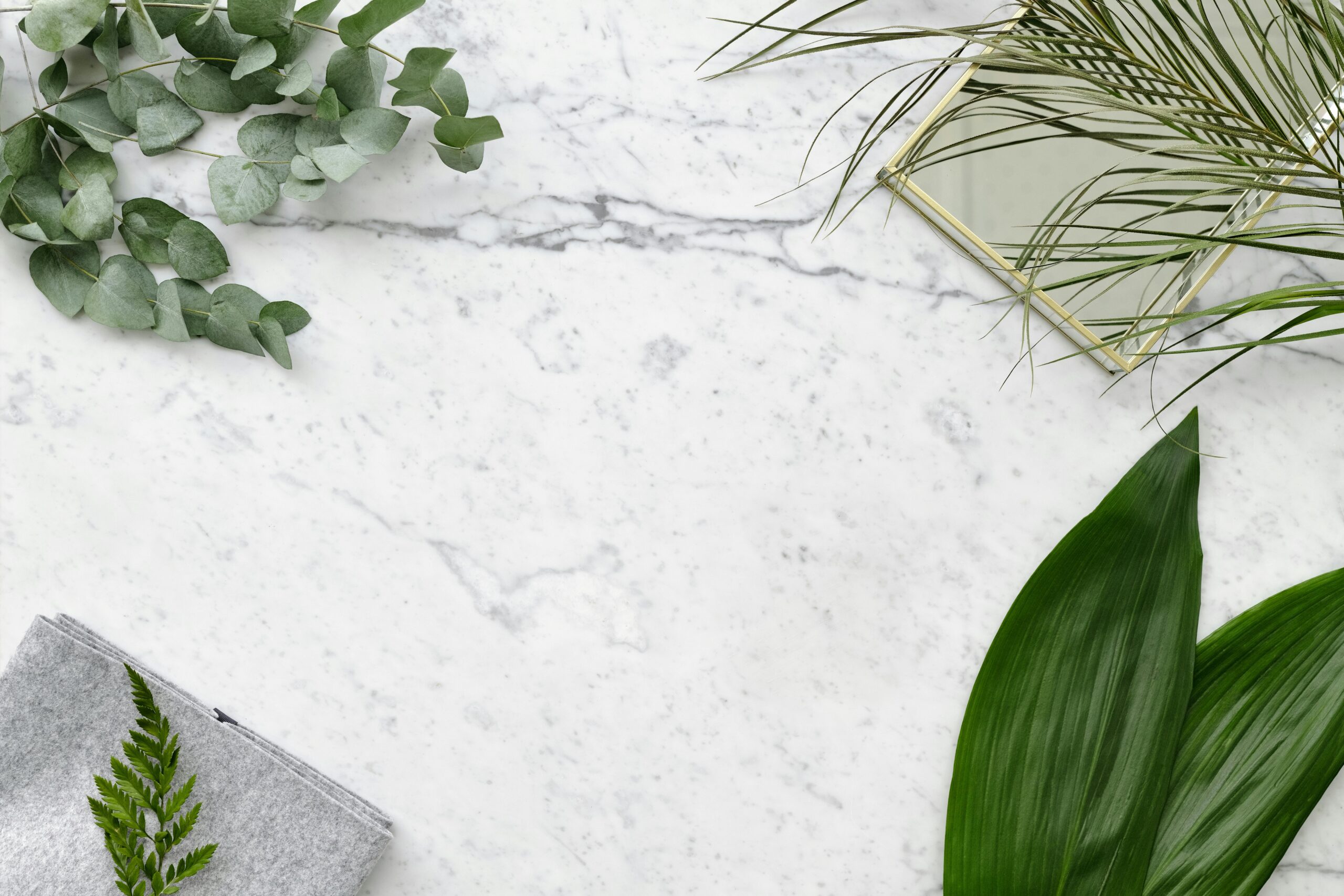 Image of marble background with plant as backdrop to quote.