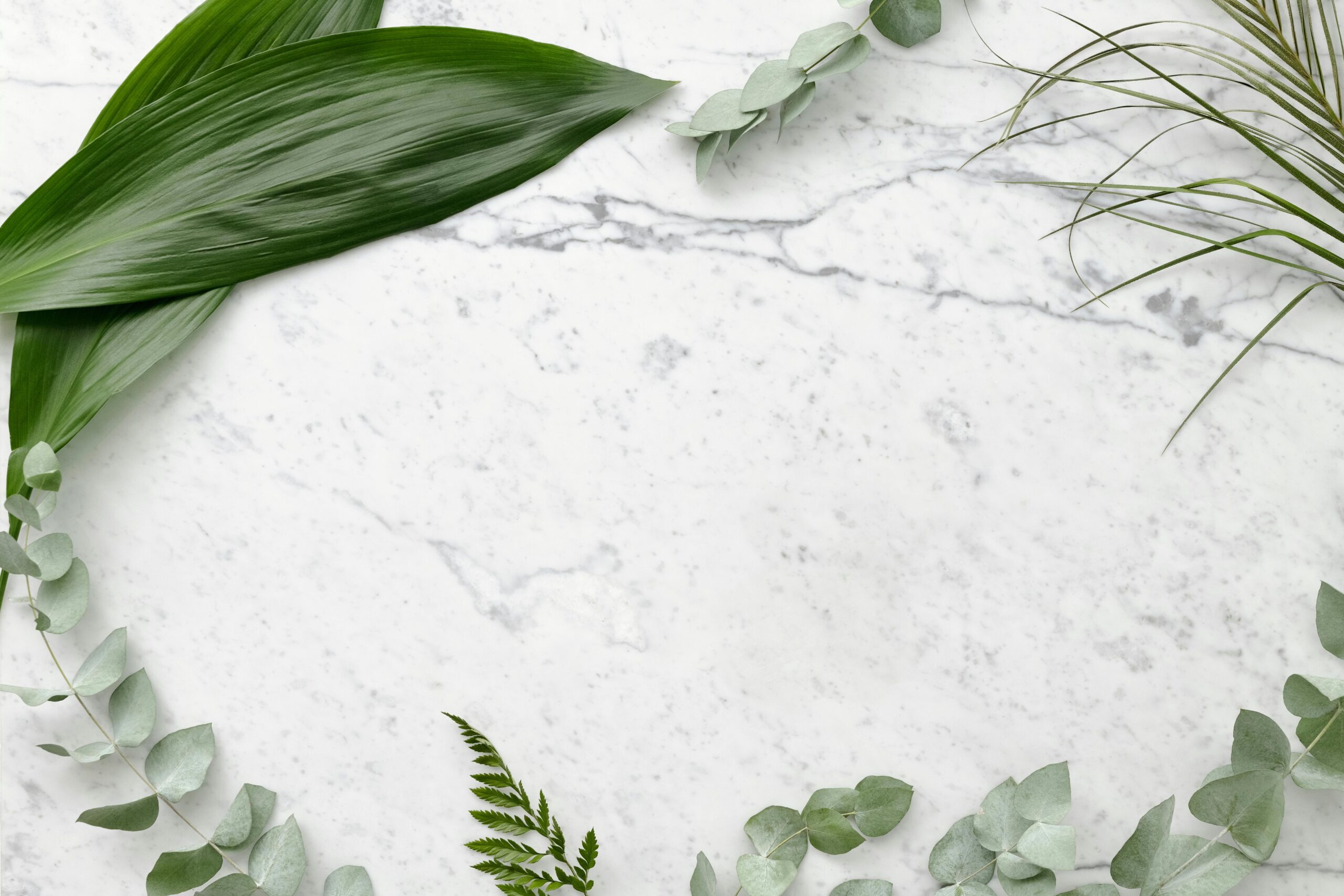Image of marble background with plant as backdrop to quote.